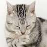 Yegor  