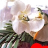 Noro Ravaozanany