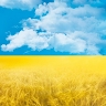 myviphome  