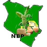 Askah Nyakwara
