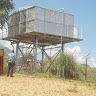 Florence Muthee