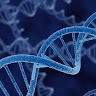 Biologie  