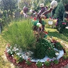 EUROVIA IOSIF