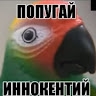 Максим Хрєбтов