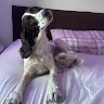 Maisy Chick