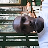 Alexander nyaga
