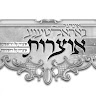 Dovid Morgan