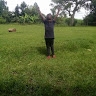 tyson opiyo