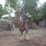 Bhimji Vekaria