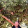 José M. Rodrigues