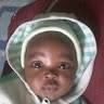 Noks Lilly