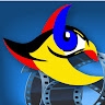 Focus Studio