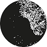 Bleach Kollektiv