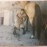 Allister Jack