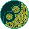 Pattern Domain