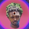 klanapex._  