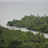 Rajale Saqatanaivalu