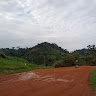 tasicias mulenga