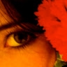 Aline Lilie