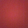 Imani Westbrook