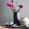 Rosa Emilia Viti