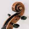 Rocky Mountain Cello  