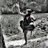 Jessica Cestaro