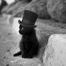 Les Spectaculaires