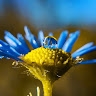 Наталія  