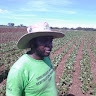Paul Gukushu