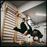 Γιωργος Κορωνιας