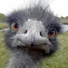 Tweeytofficial  