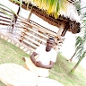 wanyama stephen