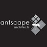 ant scape