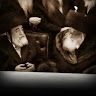 YOSEF STEINMETZ