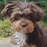 Zuzanna Strońska