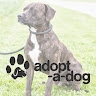 Adopt-A -Dog
