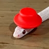 Paul Hunsaker