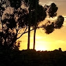 hiwot assefa