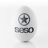 SESO VINCENT