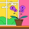Beryl Gloria
