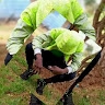 huffrey nyakundi
