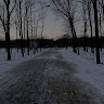 Максим Лаврентьев