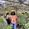 Cindy Anita Baidoo
