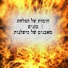 טליה אמר