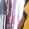 Donna Ndlovu