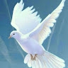 Sumaya Yunus