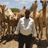 abdikadir ahmed
