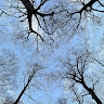 Paul Johnson