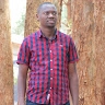 wanyeki gathu